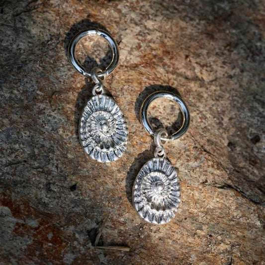 Shell fossil shaped hoops